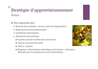 +
    Stratégie d’approvisionnement
    Pollen

        Vont dépendre des
             Besoins de la colonie : larves, réserves disponibles…
             Ressources environnementales
             Conditions climatiques
             Attractivité des pollens :
                  Lipides (surtout acides gras insaturés)
                  Teneur en protéines (AA)
                  Odeur, couleur
                  Réponse à des besoins spécifiques (bourdons : arbousier
                   délaissé par les abeilles car sans cholestérol)…
 