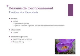 +
    Besoins de fonctionnement
    Protéines et acides aminés

        Source :
             pollen
              -> pelotes de pollen
              -> pain d’abeilles = pollen enrichi en ferments et lactofermenté

        Utilisation :
             Larves

        Besoins en pollen :
             200.000 larves -> 25 kg
             Totaux : 50 kg
 