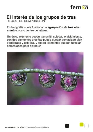 El interés de los grupos de tres
FOTOGRAFÍA CON MÓVIL / COMPOSICIÓN FOTOGRÁFICA
En fotografía suele funcionar la agrupación de tres ele-
mentos como centro de interés.
Un único elemento puede transmitir soledad o aislamiento,
con dos elementos una foto puede quedar demasiado bien
equilibrada y estática, y cuatro elementos pueden resultar
demasiados para distribuir.
REGLAS DE COMPOSICIÓN
 