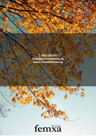 T. 900 100 957
hola@cursosfemxa.es
www.cursosfemxa.es
 