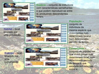 Espécie  – conjunto de indivíduos com características semelhantes e que podem reproduzir-se entre si, produzindo descendentes férteis.  População  – conjunto de indivíduos da mesma espécie que vivem juntos num determinado local e num determinado período de tempo. Comunidade  – conjunto de populações que vivem juntas num determinado local, num determinado período de tempo e que estabelecem relações entre si. Habitat  – local ocupado por uma população. Biótopo  – local ocupado por uma comunidade. 