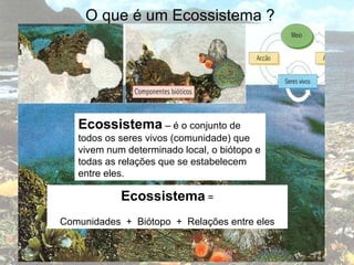 O que é um Ecossistema ? Ecossistema  – é o conjunto de todos os seres vivos (comunidade) que vivem num determinado local, o biótopo e todas as relações que se estabelecem entre eles. Ecossistema  = Comunidades  +  Biótopo  +  Relações entre eles 