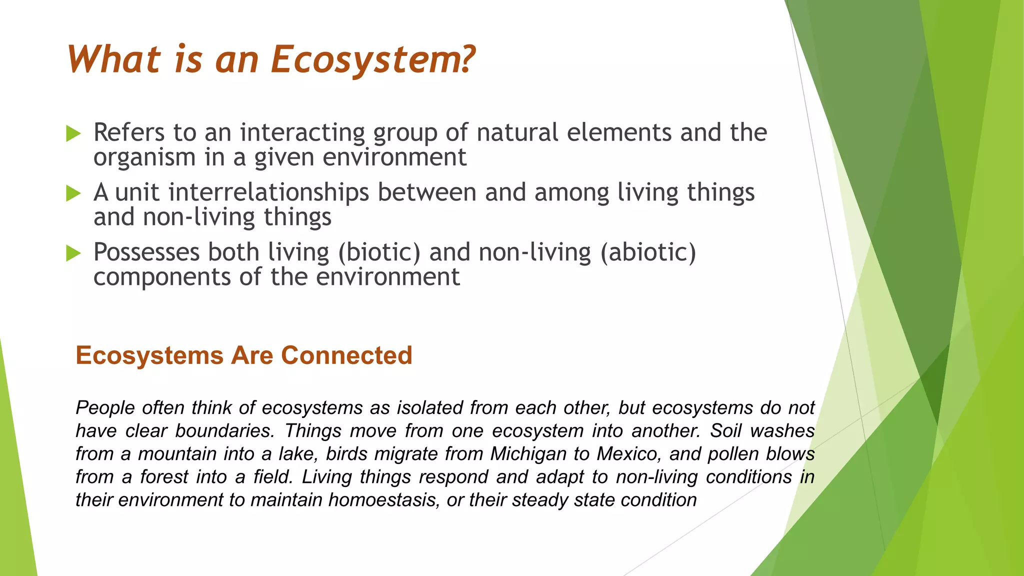 ENVI 2 ecosystem | PPTX