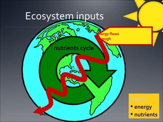 Ecosystem inputs biosphere energy flows through nutrients cycle inputs energy nutrients 