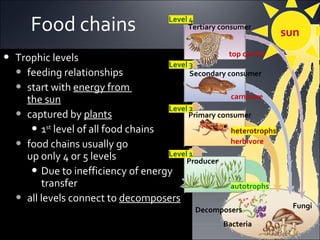 Food chains Trophic levels feeding relationships start with  energy from  the sun   captured by  plants 1 st  level of all food chains food chains usually go  up only 4 or 5 levels Due to inefficiency of energy transfer all levels connect to  decomposers   Fungi Level 4 Level 3 Level 2 Level 1 Decomposers Producer Primary consumer Secondary consumer Tertiary consumer top carnivore carnivore herbivore Bacteria autotrophs heterotrophs sun 