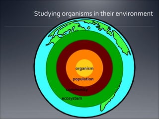 Studying organisms in their environment biosphere ecosystem community population organism 
