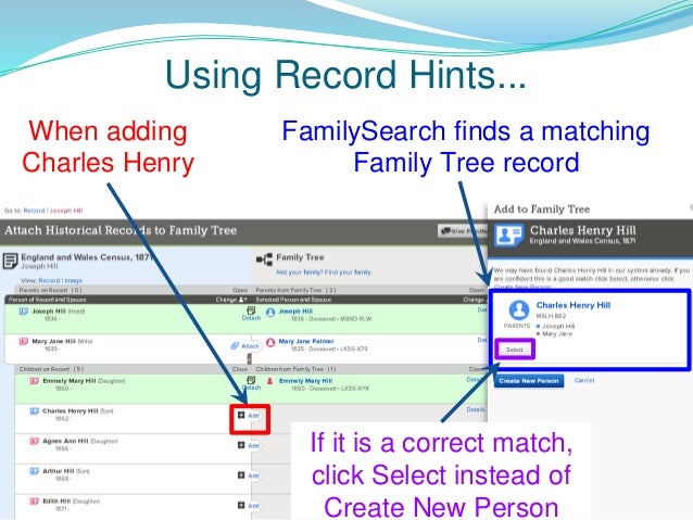 webtrees sources on family links webtrees sources on family links