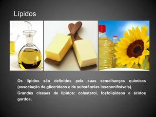  ÁguaNutrimentos - FunçãoEnergética: Glúcidos, Lípidos …			1 g. de Glúcidos = 4 kcal.		1 g. de Lípidos = 9 kcal.		1 g. de Proteínas = 4 kcal.		1 g. de Álcool = 7 kcal.Plástica: Proteínas, Minerais, ÁguaProtectora: Vitaminas, MineraisReguladora: Fibras