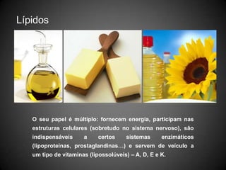 GlúcidosSubstâncias químicas que incluem moléculas constituídas por 5 (ribose) ou 6 (glucose e fructose) átomos de carbono. Desempenham uma função energética