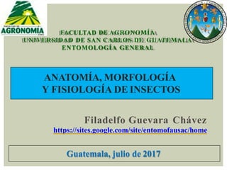FACULTAD DE AGRONOMÍA
UNIVERSIDAD DE SAN CARLOS DE GUATEMALA
ENTOMOLOGÍA GENERAL
Guatemala, julio de 2017
ANATOMÍA, MORFOLOGÍA
Y FISIOLOGÍA DE INSECTOS
Filadelfo Guevara Chávez
https://sites.google.com/site/entomofausac/home
 