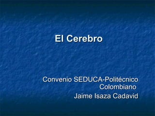 El Cerebro Convenio SEDUCA-Politécnico Colombiano  Jaime Isaza Cadavid 