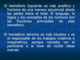 El hemisferio Izquierdo es más analítico y funciona de una manera secuencial desde las partes hacia el total. El lenguaje, la lógica y los conceptos de los números son las funciones principales de este hemisferio.  El hemisferio derecho es más intuitivo y es el responsable de los trabajos creativos e imaginativos, aunque necesita ver el panorama a la hora de recibir ideas nuevas.  