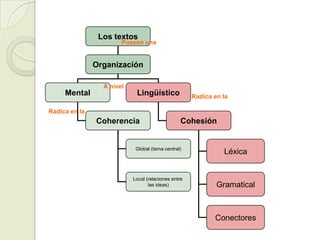 Los textos
                       Poseen una


               Organización

                 A nivel
     Mental                 Lingüístico              Radica en la

Radica en la
               Coherencia                        Cohesión


                            Global (tema central)
                                                               Léxica


                           Local (relaciones entre
                                  las ideas)                 Gramatical



                                                            Conectores
 