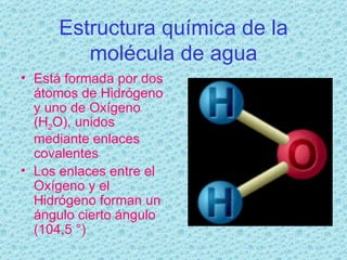 Estructura química de la molécula de agua Está formada por dos átomos de Hidrógeno y uno de Oxígeno (H 2 O), unidos mediante enlaces covalentes Los enlaces entre el Oxígeno y el Hidrógeno forman un ángulo cierto ángulo (104,5 °) 