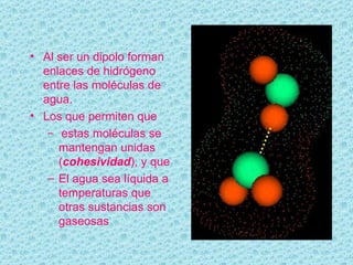 Al ser un dipolo forman enlaces de hidrógeno entre las moléculas de agua.  Los que permiten que estas moléculas se mantengan unidas ( cohesividad ), y que El agua sea líquida a temperaturas que otras sustancias son gaseosas 
