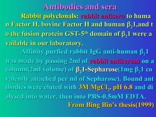 Antibodies and sera
Antibodies and sera
Rabbit polyclonals:
Rabbit polyclonals: rabbit antisera
rabbit antisera to huma
to huma
n Factor H, bovine Factor H and human
n Factor H, bovine Factor H and human 
2
21,and t
1,and t
o the fusion protein GST-5
o the fusion protein GST-5th
th
domain of
domain of 
2
21 were a
1 were a
vailable in our laboratory.
vailable in our laboratory.
Affinity purfied rabbit IgG anti-human
Affinity purfied rabbit IgG anti-human 
2
21
1
was made by passing 2ml of
was made by passing 2ml of rabbit antiserum
rabbit antiserum on a
on a
column(2ml volume) of
column(2ml volume) of 
2
21-Sepharose
1-Sepharose(1mg
(1mg 
2
21 co
1 co
valently attached per ml of Sepharose). Bound ant
valently attached per ml of Sepharose). Bound ant
ibodies were eluted with
ibodies were eluted with 3M MgCl
3M MgCl2
2, pH 6.8
, pH 6.8 and di
and di
alysed into water, then into PBS-0.5mM EDTA.
alysed into water, then into PBS-0.5mM EDTA.
From Bing Bin’s thesis(1999)
From Bing Bin’s thesis(1999)
 