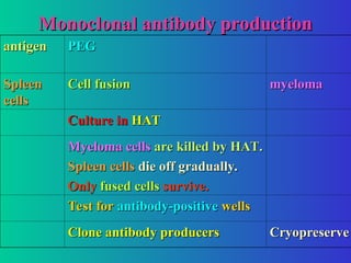 Monoclonal antibody production
Monoclonal antibody production
antigen
antigen PEG
PEG
Spleen
Spleen
cells
cells
Cell fusion
Cell fusion myeloma
myeloma
Culture in
Culture in HAT
HAT
Myeloma cells
Myeloma cells are killed by HAT.
are killed by HAT.
Spleen cells
Spleen cells die off gradually.
die off gradually.
Only
Only fused cells
fused cells survive.
survive.
Test for
Test for antibody-positive
antibody-positive wells
wells
Clone antibody producers
Clone antibody producers Cryopreserve
Cryopreserve
 