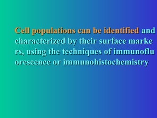 Cell populations can be identified
Cell populations can be identified and
and
characterized by their surface marke
characterized by their surface marke
rs, using the techniques of immunoflu
rs, using the techniques of immunoflu
orescence or immunohistochemistry
orescence or immunohistochemistry
 