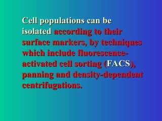 Cell populations can be
Cell populations can be
isolated
isolated according to their
according to their
surface markers, by techniques
surface markers, by techniques
which include fluorescence-
which include fluorescence-
activated cell sorting (
activated cell sorting (FACS
FACS),
),
panning and density-dependent
panning and density-dependent
centrifugations.
centrifugations.
 