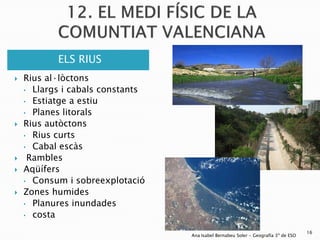 ELS RIUS
   Rius al·lòctons
    • Llargs i cabals constants
    • Estiatge a estiu
    • Planes litorals
   Rius autòctons
    • Rius curts
    • Cabal escàs
    Rambles
   Aqüífers
    • Consum i sobreexplotació
   Zones humides
    • Planures inundades
    • costa

                                                                                    16
                                  Ana Isabel Bernabeu Soler - Geografía 3º de ESO
 
