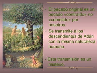 El pecado original  es un pecado «contraído» no «cometido» por nosotros. Se transmite a los descendientes de Adán con la misma naturaleza humana. - Esta transmisión es un misterio.  