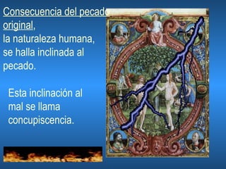 Consecuencia del pecado original ,  la naturaleza humana,  se halla inclinada al pecado.  Esta inclinación al  mal se llama  concupiscencia. 