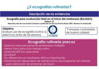 Brasil 1999        Correlación positiva entre humanos y felinos