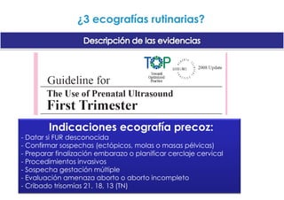 No se trata de evitar contacto con gatos, sino sus excrementos