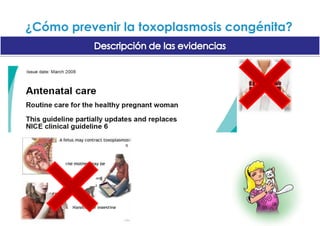  ¿3 ecografías rutinarias??