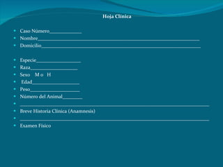 Hoja Clínica   Caso Número_____________  Nombre_________________________________________________________________ Domicilio________________________________________________________________ Especie__________________ Raza___________________ Sexo  M o  H   Edad___________________ Peso____________________ Número del Animal________ ____________________________________________________________________________ Breve Historia Clínica (Anamnesis) ____________________________________________________________________________ Examen Físico   
