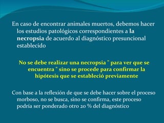 En caso de encontrar animales muertos, debemos hacer los estudios patológicos correspondientes a  la necropsia  de acuerdo al diagnóstico presuncional establecido No se debe realizar una necropsia " para ver que se encuentra " sino se procede para confirmar la hipótesis que se estableció previamente Con base a la reflexión de que se debe hacer sobre el proceso morboso, no se busca, sino se confirma, este proceso podría ser ponderado otro 20 % del diagnóstico 