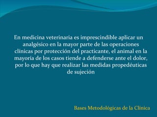 En medicina veterinaria es imprescindible aplicar un analgésico en la mayor parte de las operaciones clínicas por protección del practicante, el animal en la mayoría de los casos tiende a defenderse ante el dolor, por lo que hay que realizar las medidas propedéuticas de sujeción Bases Metodológicas de la Clínica 