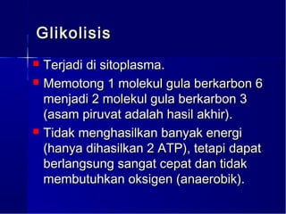 Glikolisis
 Terjadi di sitoplasma.
 Memotong 1 molekul gula berkarbon 6
  menjadi 2 molekul gula berkarbon 3
  (asam piruvat adalah hasil akhir).
 Tidak menghasilkan banyak energi
  (hanya dihasilkan 2 ATP), tetapi dapat
  berlangsung sangat cepat dan tidak
  membutuhkan oksigen (anaerobik).
 