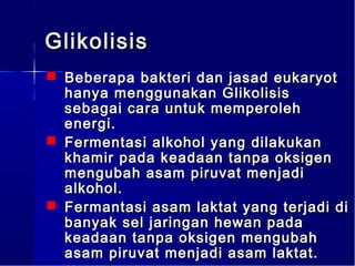 Glikolisis
 Beberapa bakteri dan jasad eukaryot
  hanya menggunakan Glikolisis
  sebagai cara untuk memperoleh
  energi.
 Fermentasi alkohol yang dilakukan
  khamir pada keadaan tanpa oksigen
  mengubah asam piruvat menjadi
  alkohol.
 Fermantasi asam laktat yang terjadi di
  banyak sel jaringan hewan pada
  keadaan tanpa oksigen mengubah
  asam piruvat menjadi asam laktat.
 