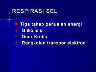 RESPIRASI SEL

   Tiga tahap penuaian energi
    Glikolisis
    Daur Krebs
    Rangkaian transpor elektron
 