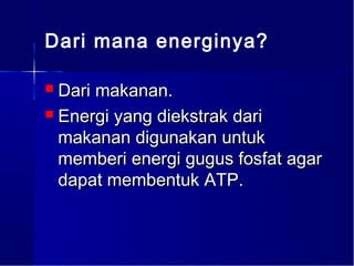 Dari mana energinya?

 Dari makanan.
 Energi yang diekstrak dari
  makanan digunakan untuk
  memberi energi gugus fosfat agar
  dapat membentuk ATP.
 