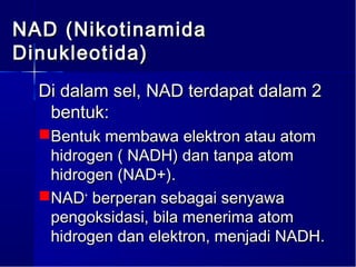 NAD (Nikotinamida
Dinukleotida)
  Di dalam sel, NAD terdapat dalam 2
   bentuk:
  Bentuk membawa elektron atau atom
   hidrogen ( NADH) dan tanpa atom
   hidrogen (NAD+).
  NAD+ berperan sebagai senyawa
   pengoksidasi, bila menerima atom
   hidrogen dan elektron, menjadi NADH.
 