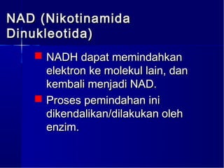 NAD (Nikotinamida
Dinukleotida)
    NADH dapat memindahkan
     elektron ke molekul lain, dan
     kembali menjadi NAD.
    Proses pemindahan ini
     dikendalikan/dilakukan oleh
     enzim.
 