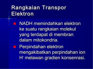 Rangkaian Transpor
Elektron
■ NADH memindahkan elektron
  ke suatu rangkaian molekul
  yang terdapat di membran
  dalam mitokondria.
■ Perpindahan elektron
  mengakibatkan perpindahan ion
  H+ melawan gradien konsenrasi.
 