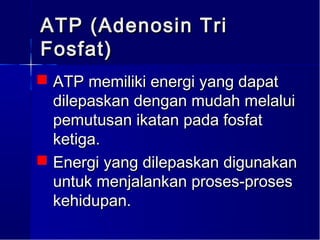 ATP (Adenosin Tri
Fosfat)
 ATP memiliki energi yang dapat
  dilepaskan dengan mudah melalui
  pemutusan ikatan pada fosfat
  ketiga.
 Energi yang dilepaskan digunakan
  untuk menjalankan proses-proses
  kehidupan.
 