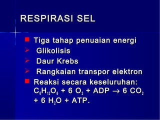 RESPIRASI SEL

   Tiga tahap penuaian energi
    Glikolisis
    Daur Krebs
    Rangkaian transpor elektron
   Reaksi secara keseluruhan:
    C 6 H 12 O 6 + 6 O 2 + ADP → 6 CO 2
    + 6 H 2 O + ATP.
 