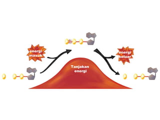 p    p    p

               energi            ATP
                                       energi
               masuk                   keluar

                            Tanjakan
                             energi
p    p   p                               p      p   p
P+       ADP                             P+         ADP
 
