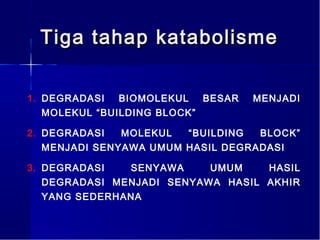 Tiga tahap katabolisme

1. DEGRADASI   BIOMOLEKUL   BESAR   MENJADI
   MOLEKUL “BUILDING BLOCK”

2. DEGRADASI   MOLEKUL  “BUILDING  BLOCK”
   MENJADI SENYAWA UMUM HASIL DEGRADASI

3. DEGRADASI   SENYAWA     UMUM    HASIL
   DEGRADASI MENJADI SENYAWA HASIL AKHIR
   YANG SEDERHANA
 
