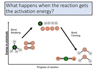 What happens when the reaction gets
the activation energy?
Bond
Forming
Bond
Breaking
Progress of reaction
Energy
in
chemicals
O
O
O
O
H
C
H
H
H
O O
O
O
C H H H H
O C O
O
O
H H
H H
 