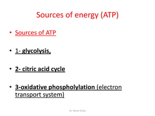 2 energy metabolism presentation1 final nut &fitness | PPTX