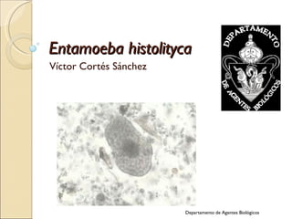 Entamoeba histolityca
Víctor Cortés Sánchez




                        Departamento de Agentes Biológicos
 