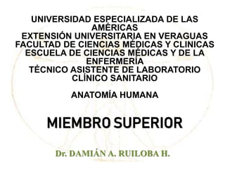 UNIVERSIDAD ESPECIALIZADA DE LAS
AMÉRICAS
EXTENSIÓN UNIVERSITARIA EN VERAGUAS
FACULTAD DE CIENCIAS MÉDICAS Y CLINICAS
ESCUELA DE CIENCIAS MÉDICAS Y DE LA
ENFERMERÍA
TÉCNICO ASISTENTE DE LABORATORIO
CLÍNICO SANITARIO
ANATOMÍA HUMANA
MIEMBRO SUPERIOR
Dr. DAMIÁN A. RUILOBA H.
 