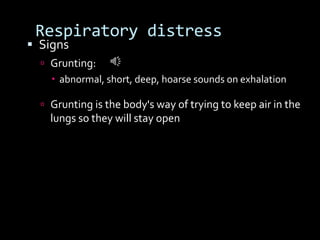 Respiratory distress
 Signs
 Grunting:
 abnormal, short, deep, hoarse sounds on exhalation
 Grunting is the body's way of trying to keep air in the
lungs so they will stay open
 