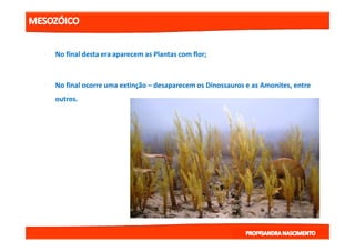 •• No final desta era aparecem as Plantas com flor;No final desta era aparecem as Plantas com flor;
•• No final ocorre uma extinçãoNo final ocorre uma extinção –– desaparecem os Dinossauros e as Amonites, entredesaparecem os Dinossauros e as Amonites, entre
outros.outros.
 