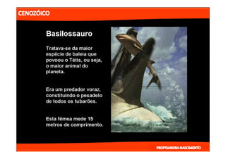 2- ETAPAS DA HITÓRIA DA TERRA